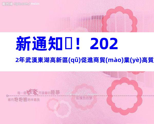 新通知！2022年武漢東湖高新區(qū)促進商貿(mào)業(yè)高質(zhì)量發(fā)展專項資金申報時間、條件